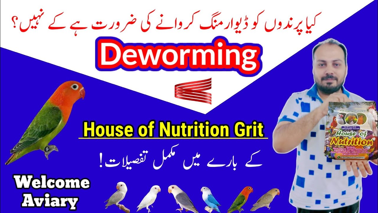 DEWORMING ll Do birds need deworming ll Welcome Aviary