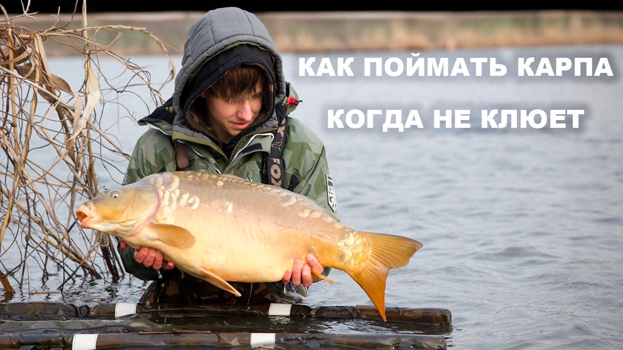 Ловля карпа , фильм 2. Клюет вчера и завтра!