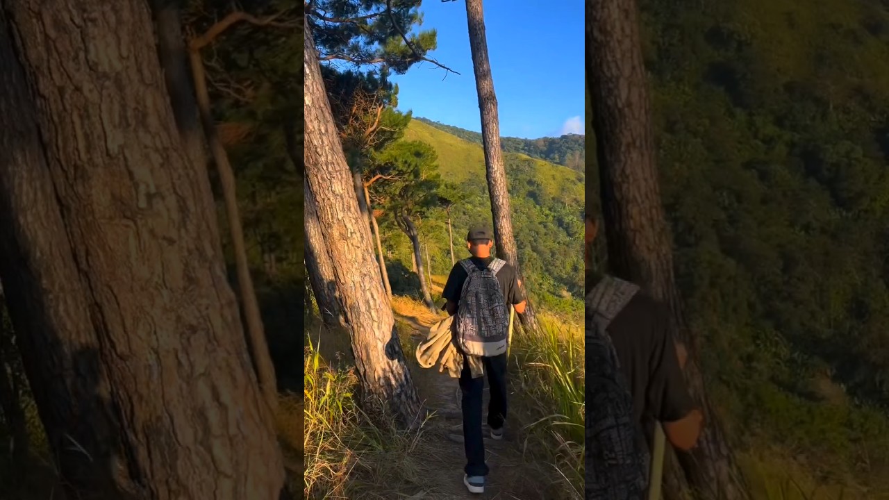 Tumjang Peak | Mountain Trekking❤️⛰️🍃#shorts #nature #trekking #tumjangpeak #naturebeauty #mountains