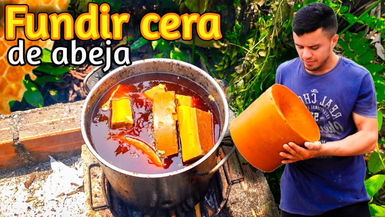 ✔️Cómo Fundir y Reciclar Cera de Abeja en Casa😎