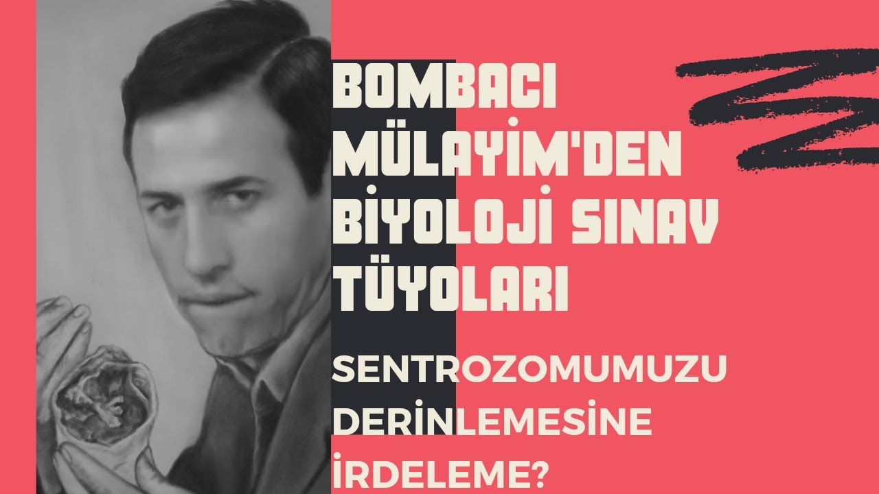Sentrozomumuzu derinlemesine irdeledik