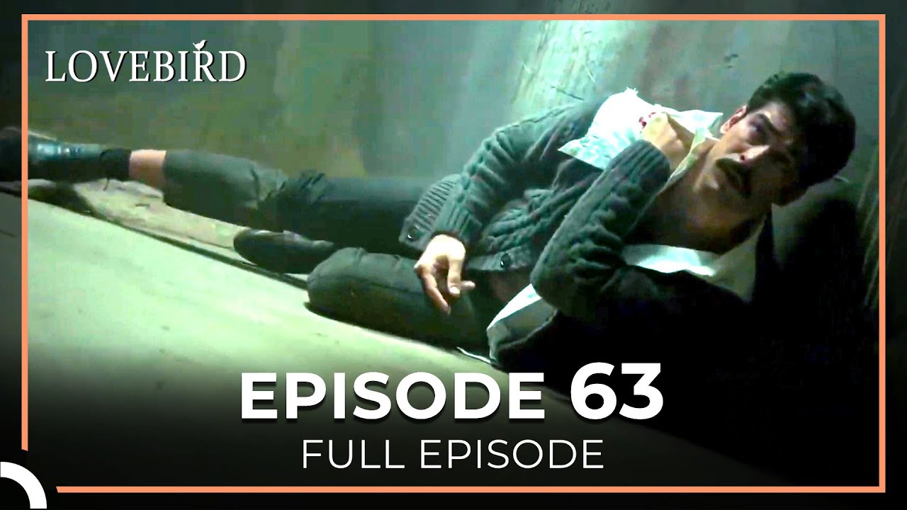 Lovebird Episode 63