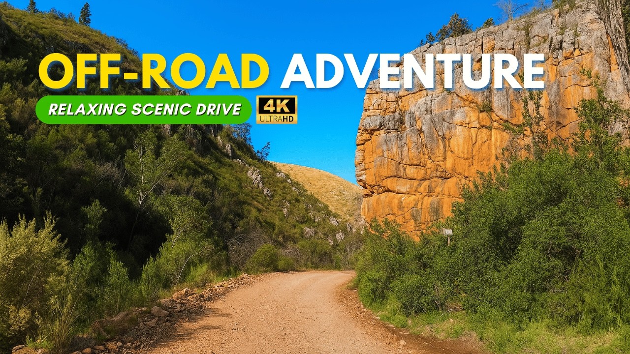 The Forgotten Road Trip | Scenic Route from Route 62 to Plettenberg Bay | Part 1