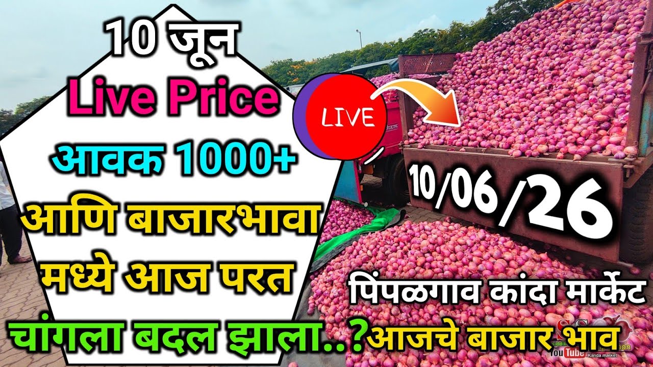 Pimpalgaon Onion Market Price Today:Latest Rates And Insights 10 jun 2025