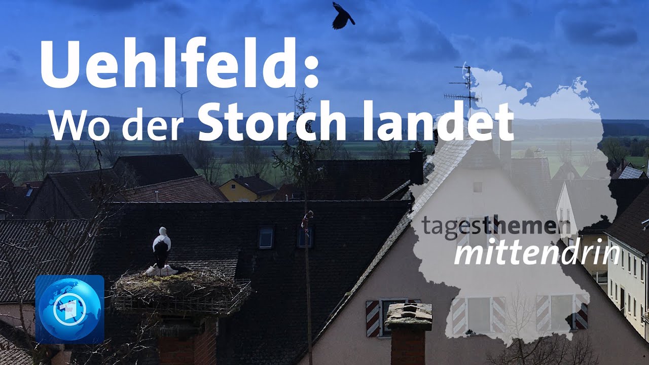 Uehlfeld: Das bayerische Storchendorf | tagesthemen mittendrin