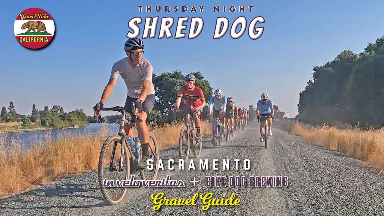 Sacramento Gravel: Bike Dog Brewing's Shred Dog with In Velo Veritas