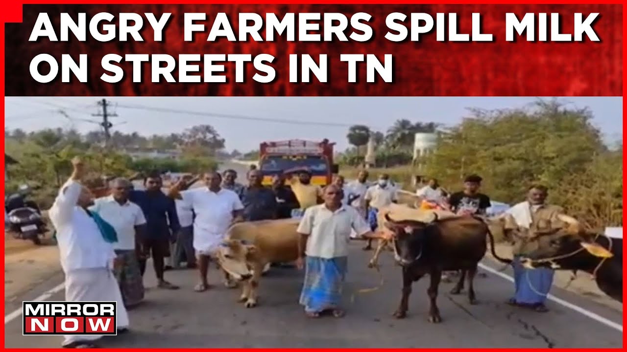 Tamil Nadu Dairy Farmers Protest Over Payment Issue | BJP Slams DMK Government | English News