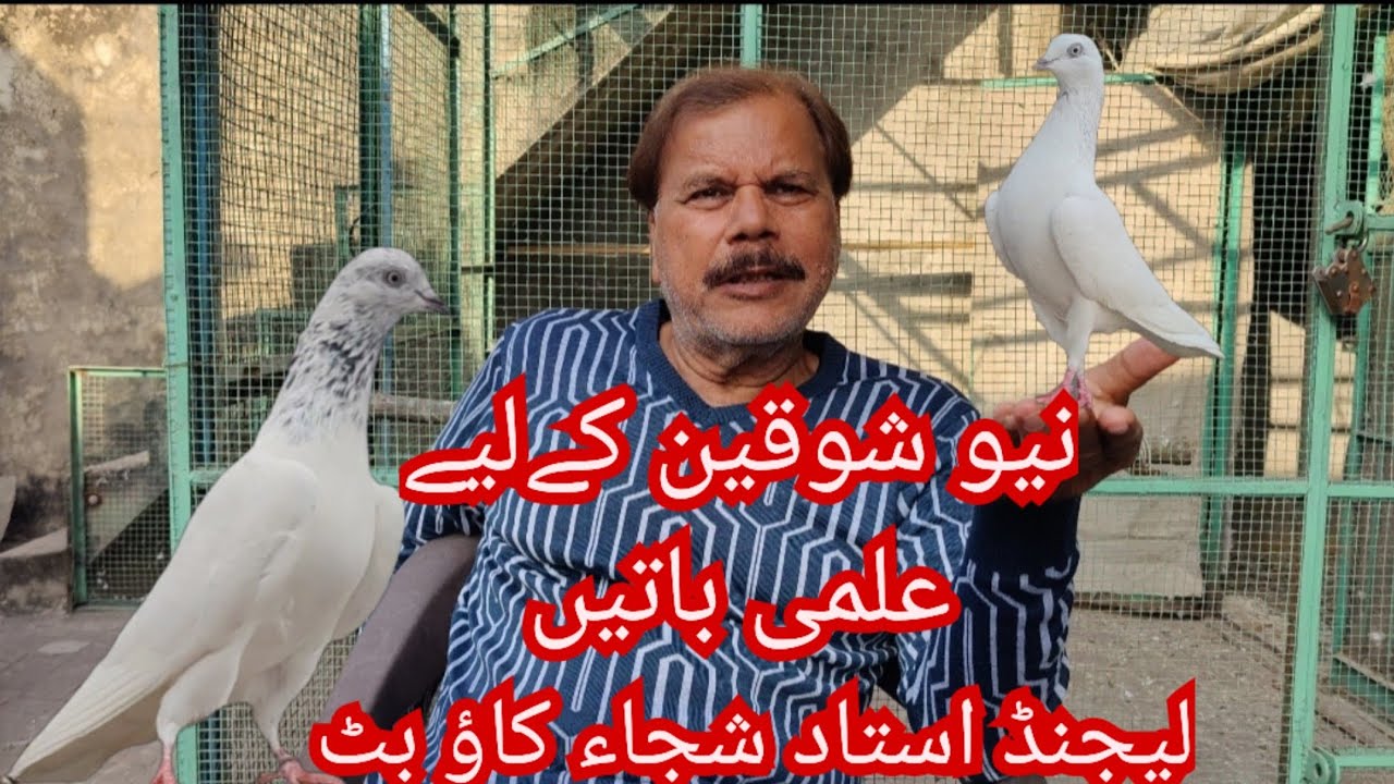 ustad shuja kaow butt ki New shokeen k liye tips