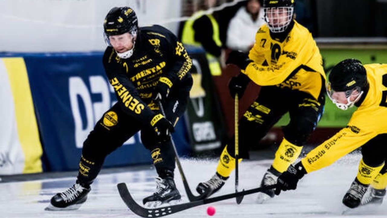 «Gripen BK»-«Åby/Tjureda IF» 20 Dec Elitserien 2024-25