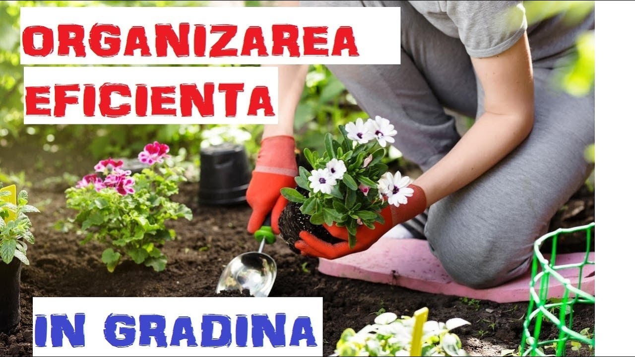 Organizarea eficientă a lucrărilor în grădină. Lucrări utile vs. Lucrări inutile