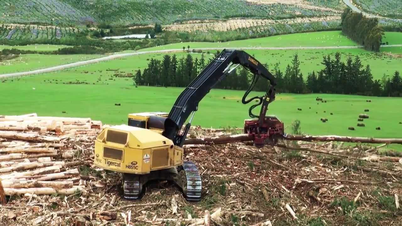 Tigercat Harvester H855C with Waratah Harvesting Head