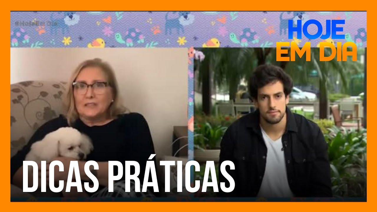 Plantão Pet: o que fazer quando cachorro morde cobertas e cortinas?