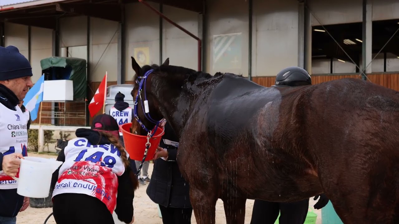 CEI1* (8 feb) | 🏇🏼 Highlights 2025 Feb 🏇🏼 | Generali Endurance