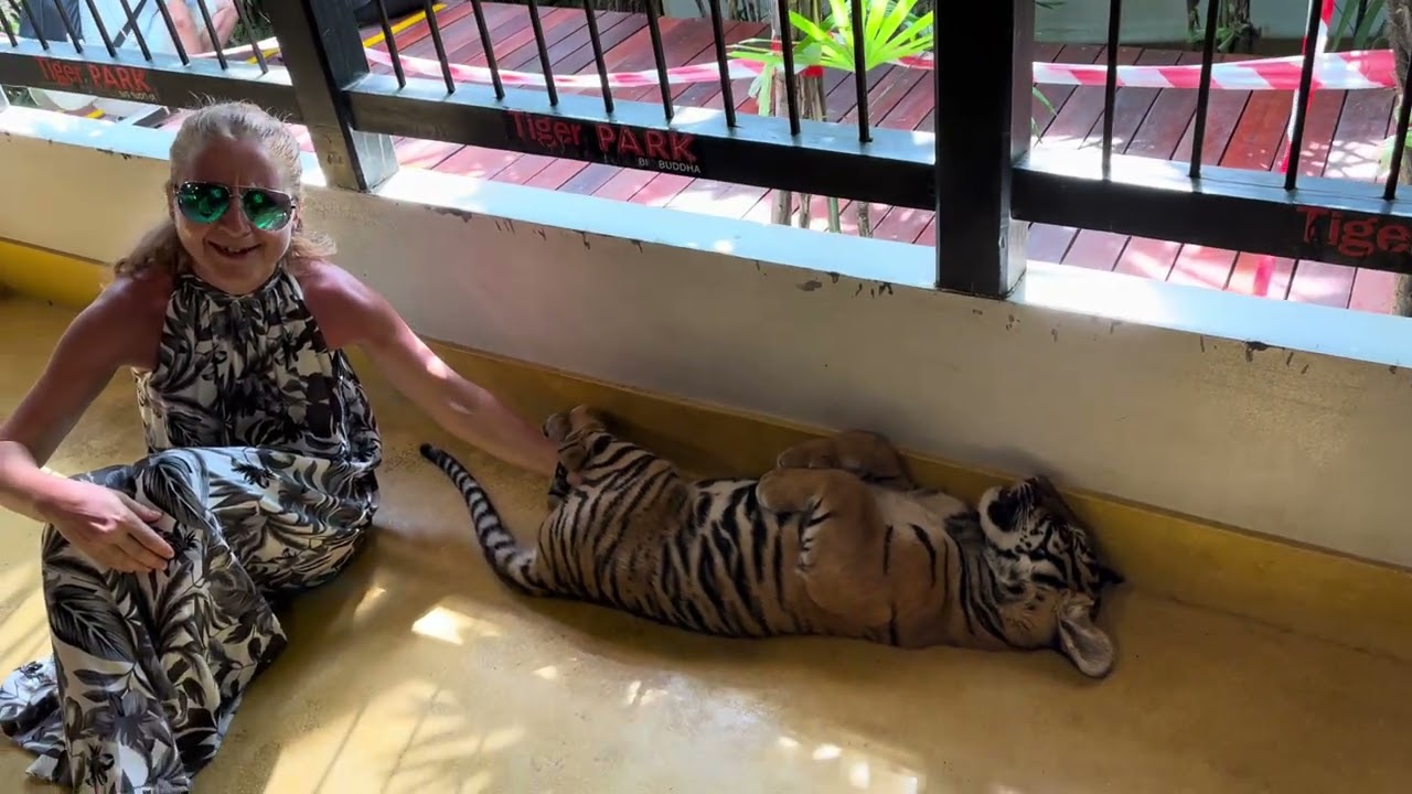 Tiger Park, Phuket, Thailand