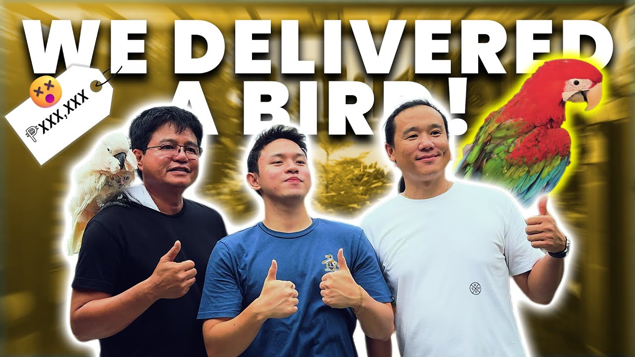 We Delivered a Macaw Parrot to Sir Romeo Catacutan with McKelly Ang 🦜 | Drive with Gab Ep 1