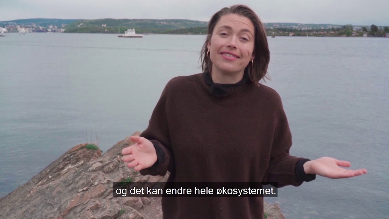 Hav og klima  - Oslofjorden i endring