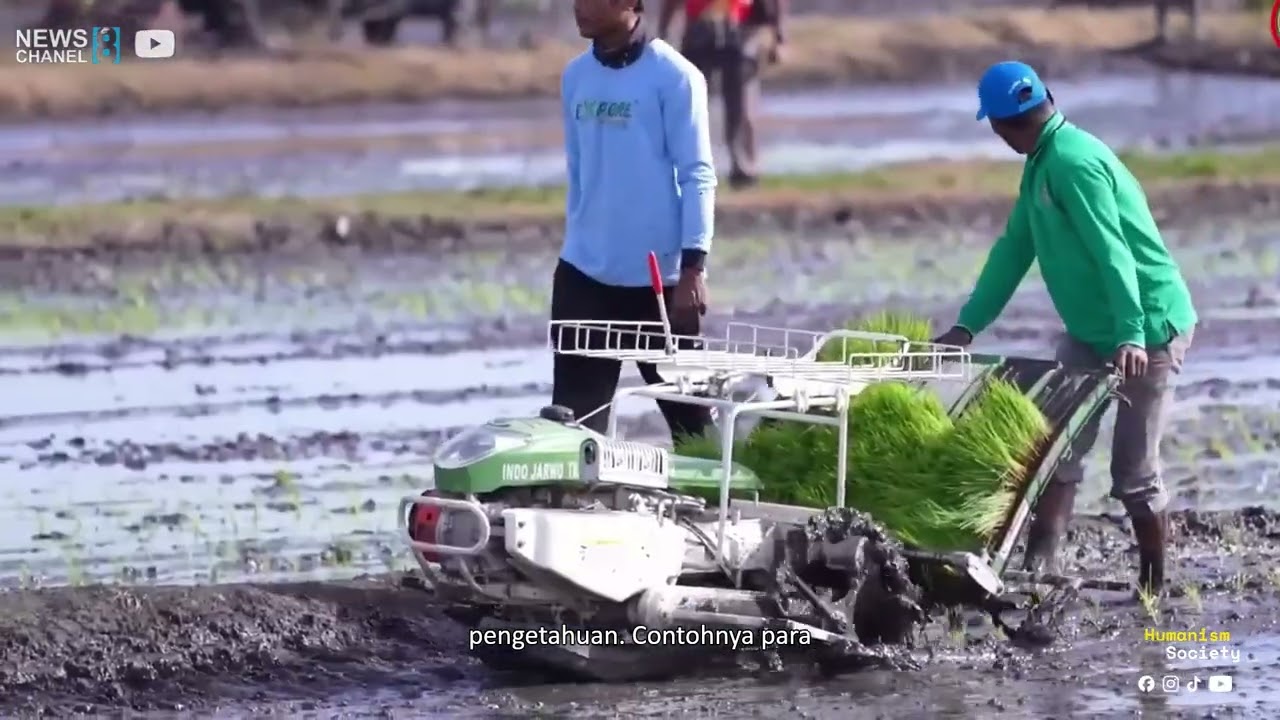 Dampak Positif Kebijakan Transmigrasi ke Papua, Ali Hindom Ajak Masyarakat Berpikir Positif