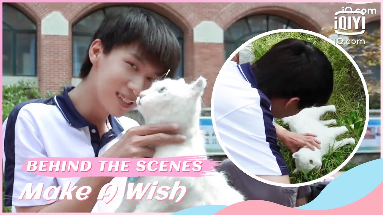 🐱BTS: Ren Yulun tells the truth  | Make a Wish | iQiyi Romance