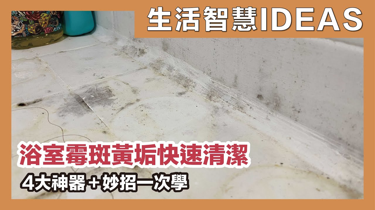 浴室霉斑黃垢快速清潔教學！4大清潔神器＋去霉妙招一次學，無窗廁所去霉防霉除濕，浴室乾爽香噴噴！｜生活智慧IDEAS｜蛙家