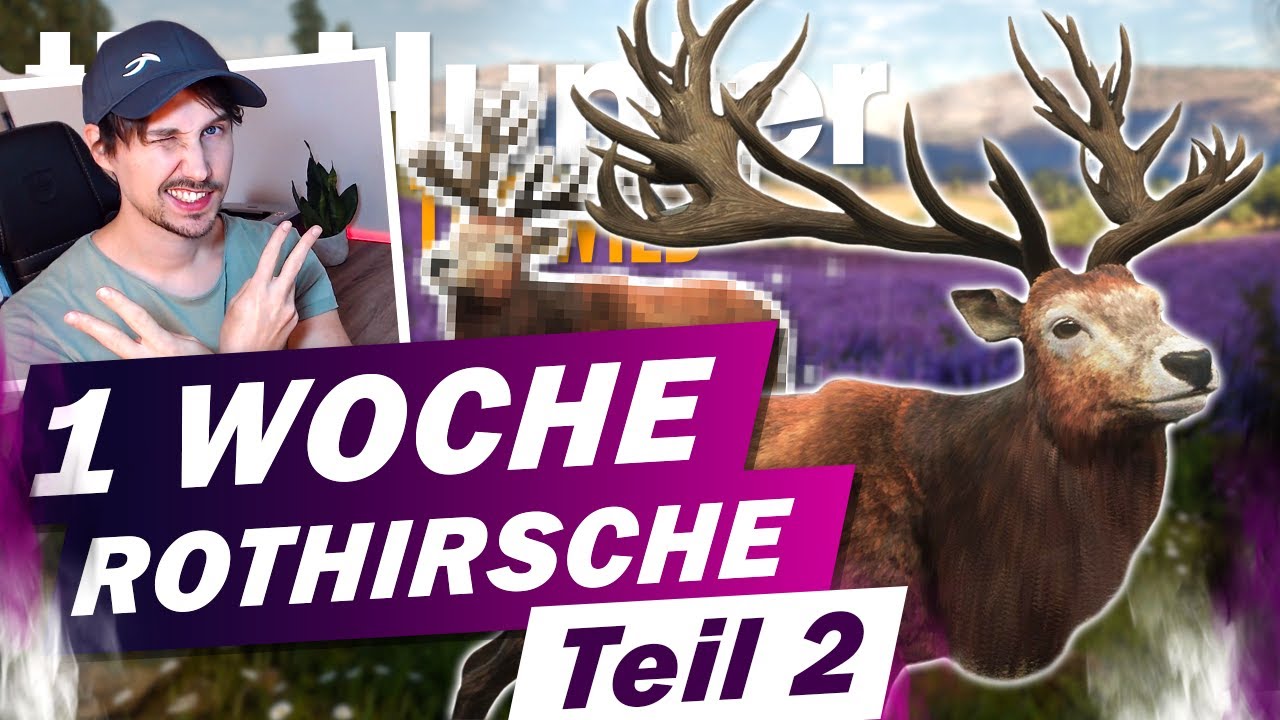 Tief einatmen... the Hunter Call of the Wild deutsch Rothirsche