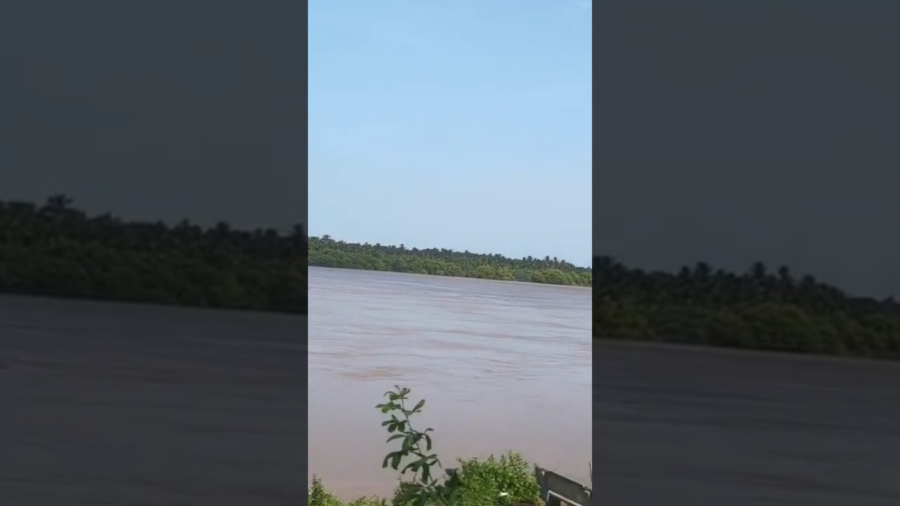 Godavari Floods 2026 #narsapur #godavari #flood