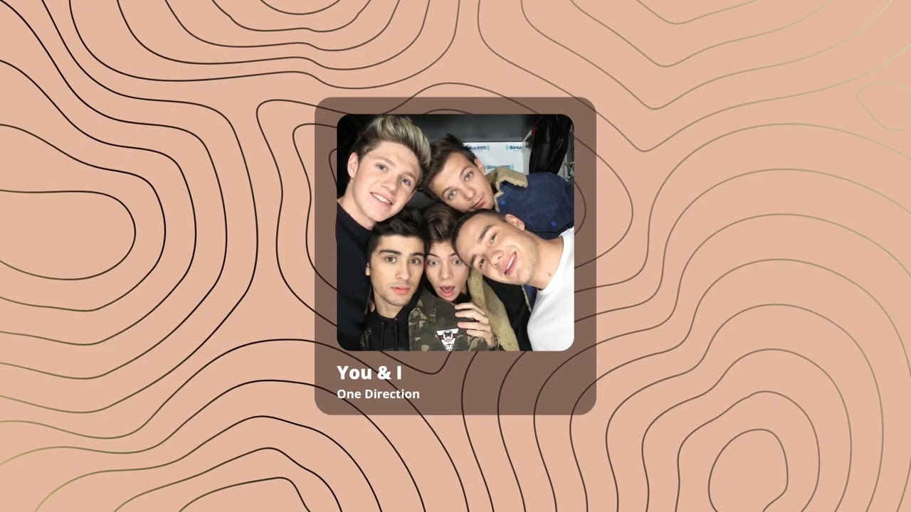 One Direction playlist to remember Liam :')
