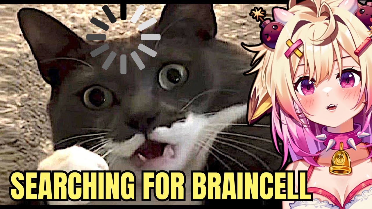 Критическая ошибка кошки, буферизация Braincell | Реакция Rosiebellmoo