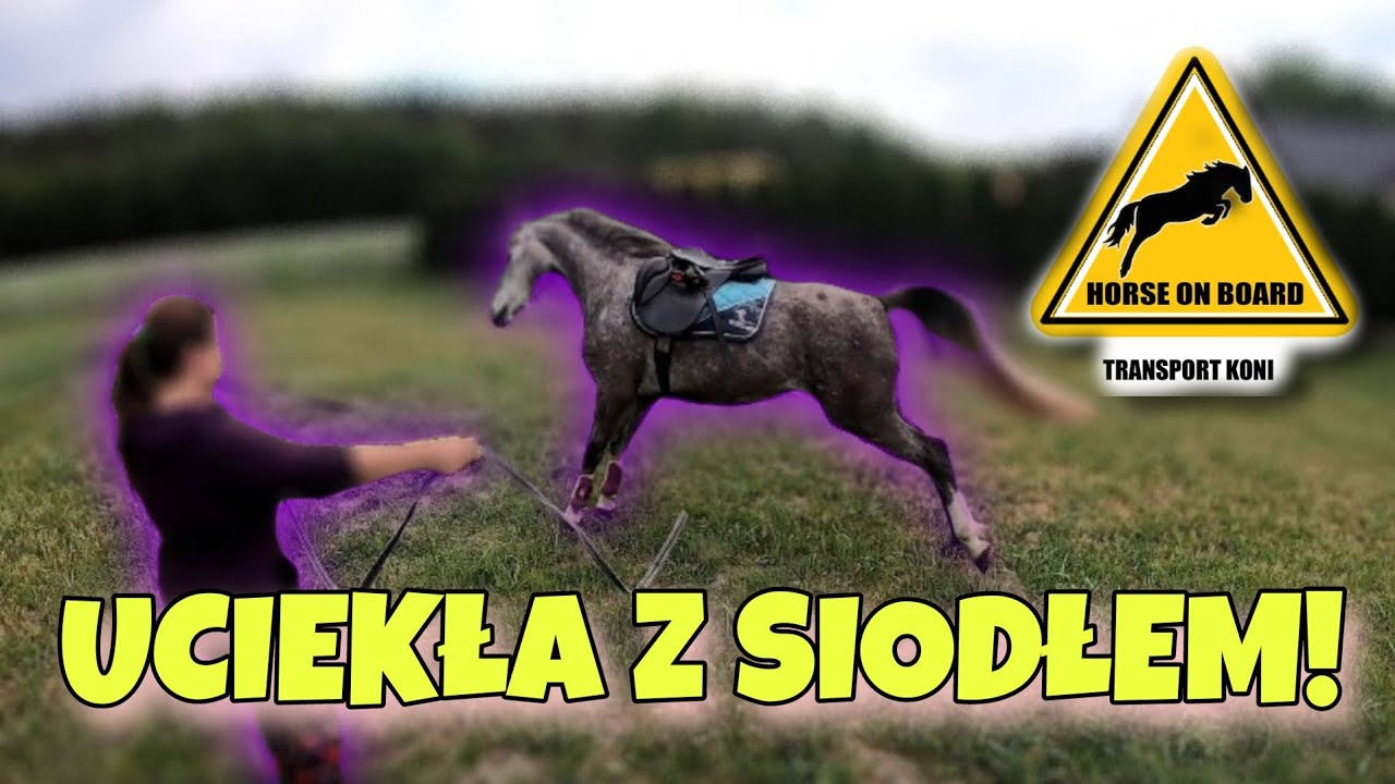 UCIECZKA Z SIODŁEM!!! PIERWSZE SIODŁANIE!!!