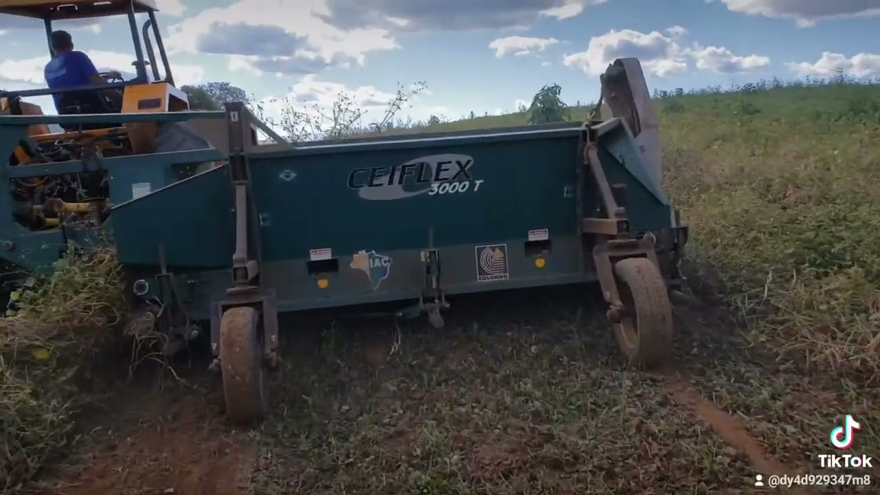 Ranca de feijão mecanizada Ceiflex