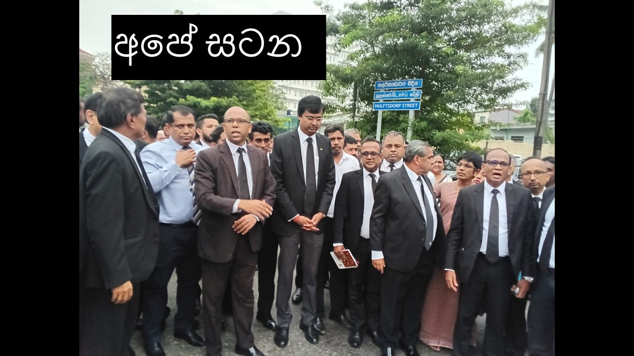 නිතිඥයෝ