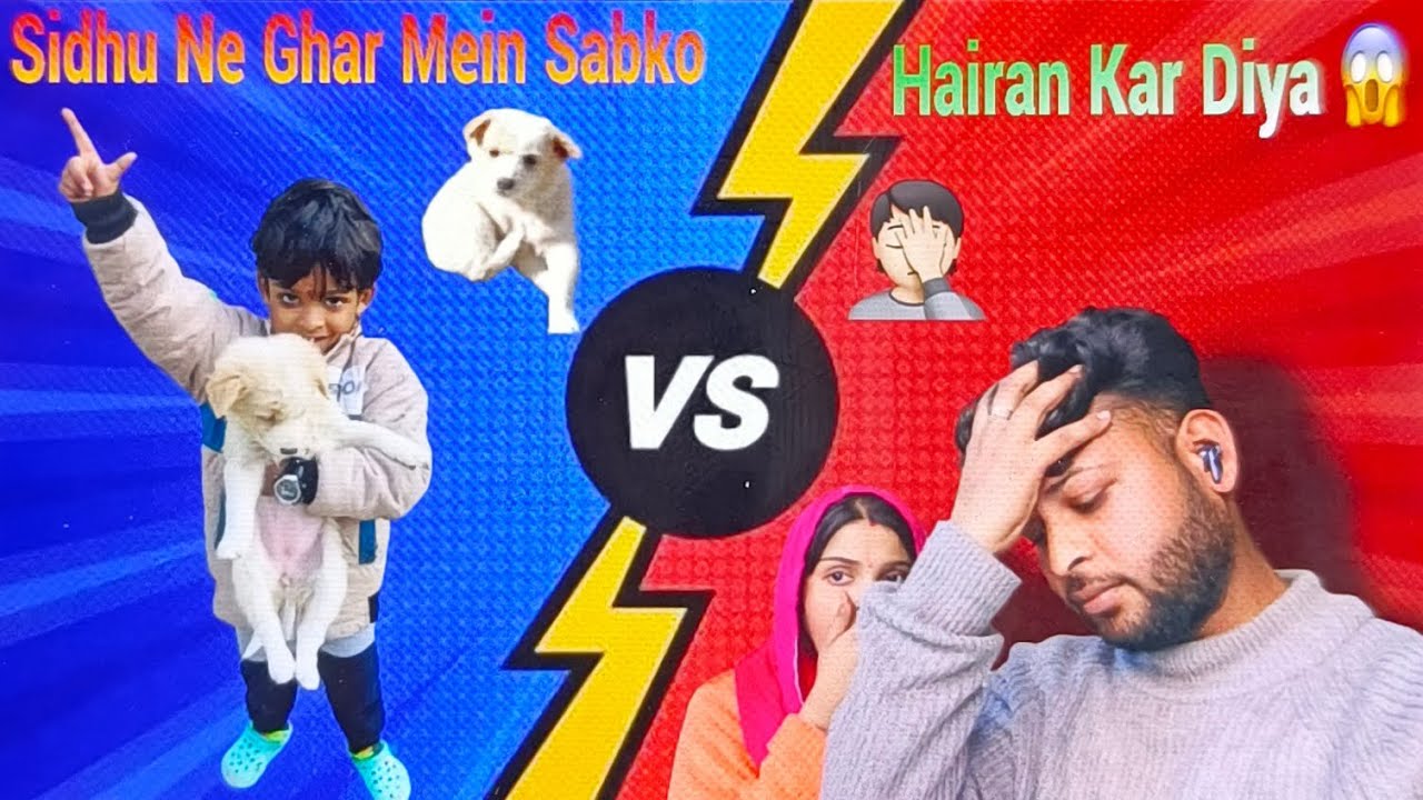 Sidhu Ka Unexpected Surprise: Mummy-Papa Ka Reaction Dekho! 😱🤷🏻  #Sidhu #DogLover #GoldenRetriever 