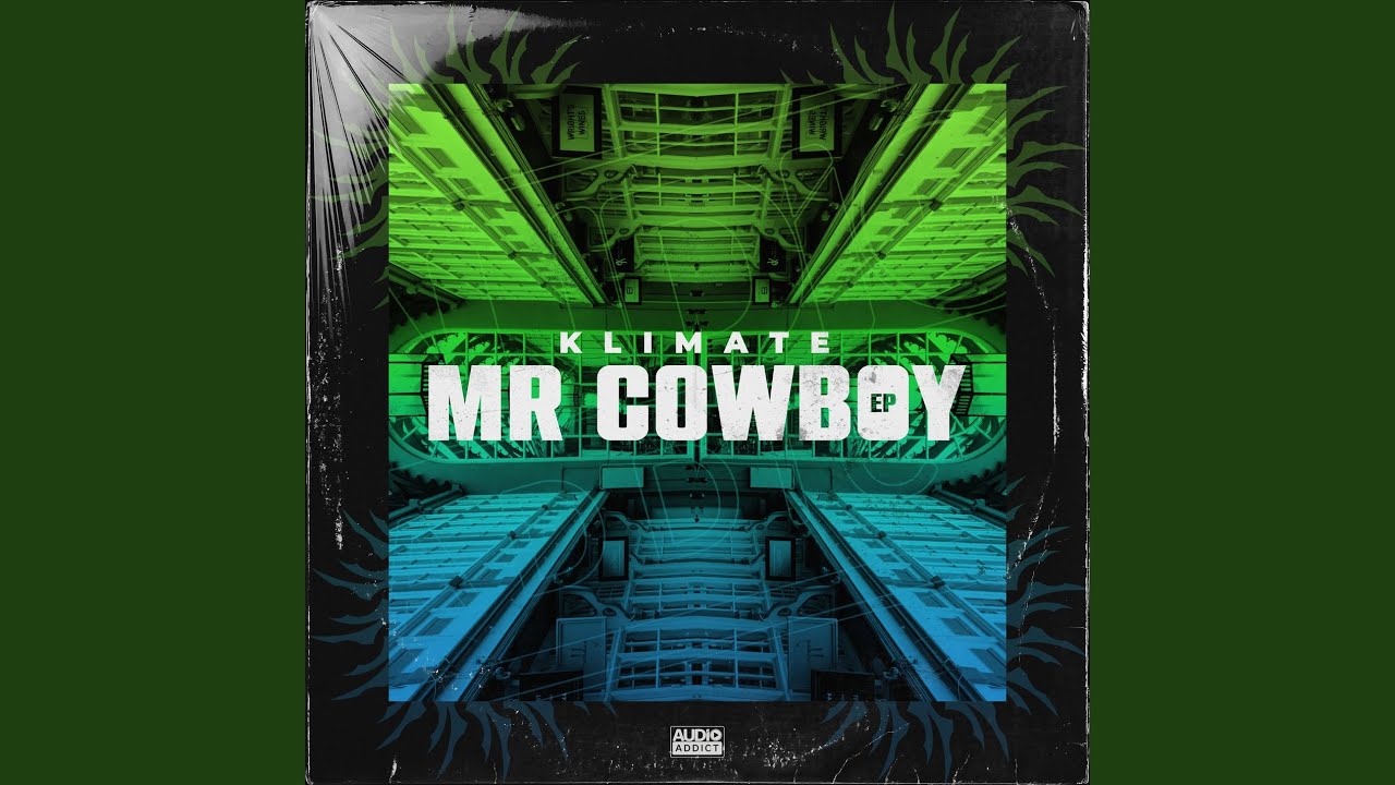 Mr Cowboy