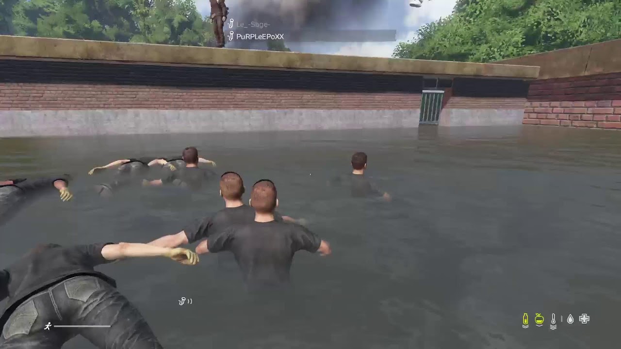 Live dayz debut base