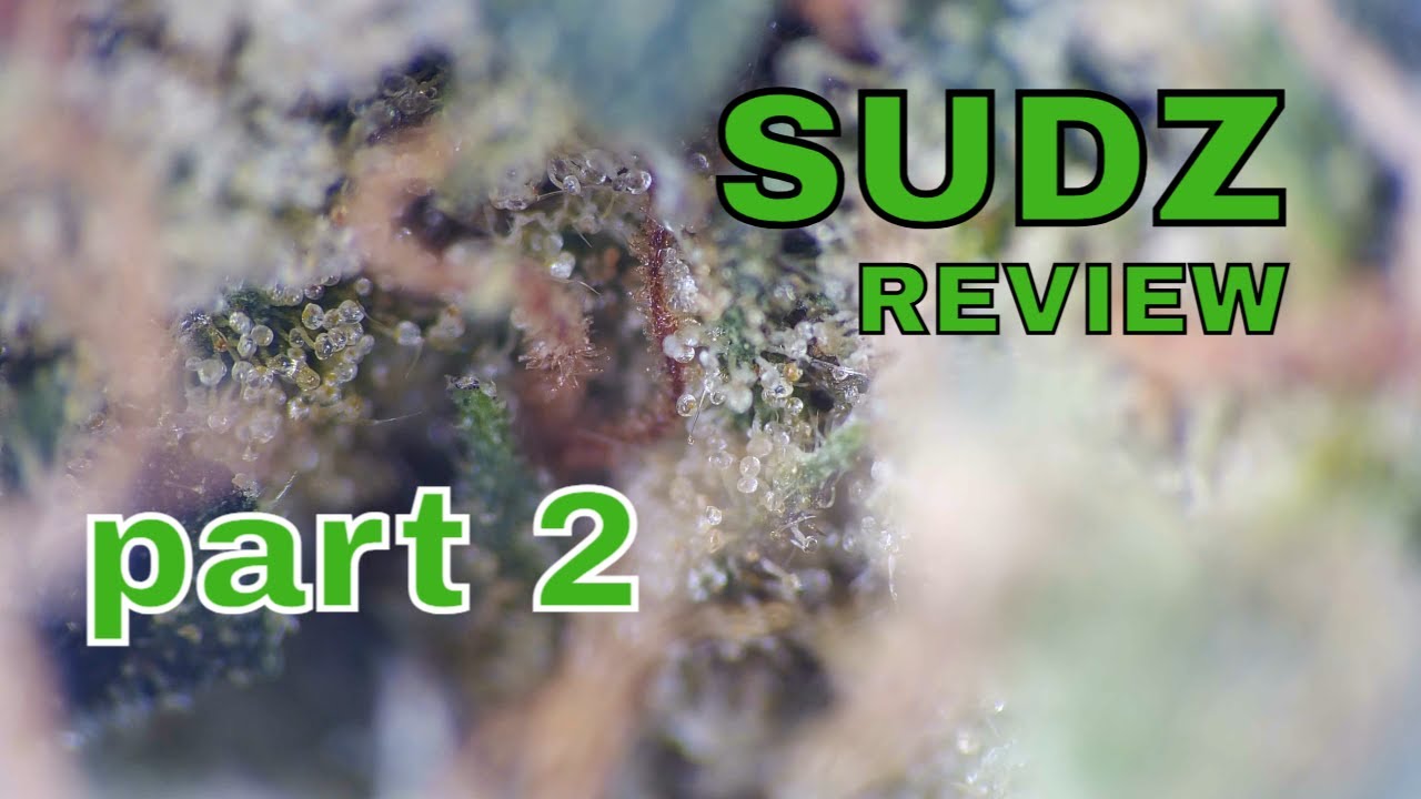 SUDZ | FAAFO, 4C Labs & Xeal Pharma | Part 2