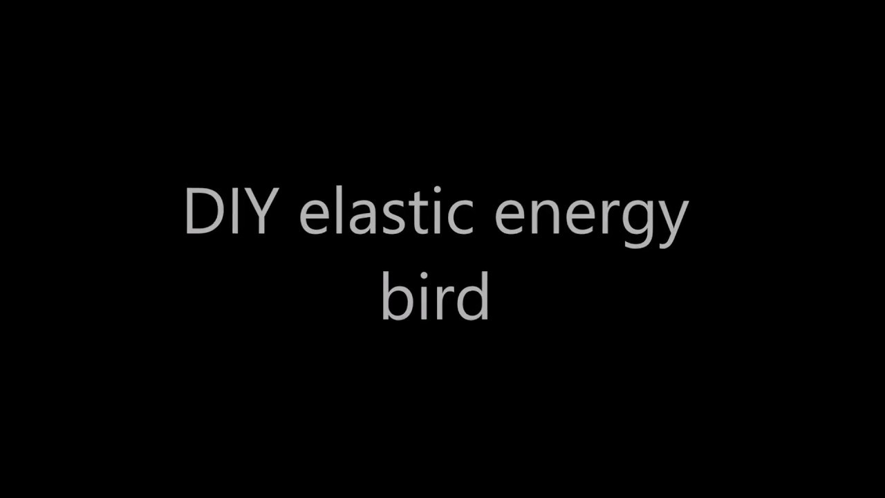 DIY elastic energy bird