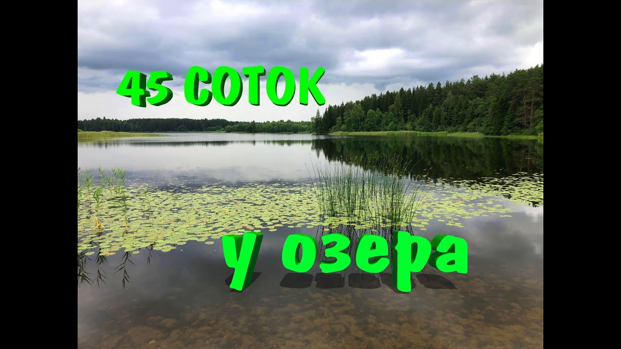 45 соток у озера! Проект 