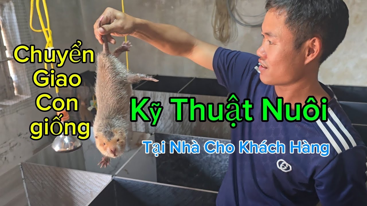 Chuyển giao kỹ thuật nuôi - con giống - hướng dẫn trực tiếp ngay tại trại khách ! #thietketraidui 