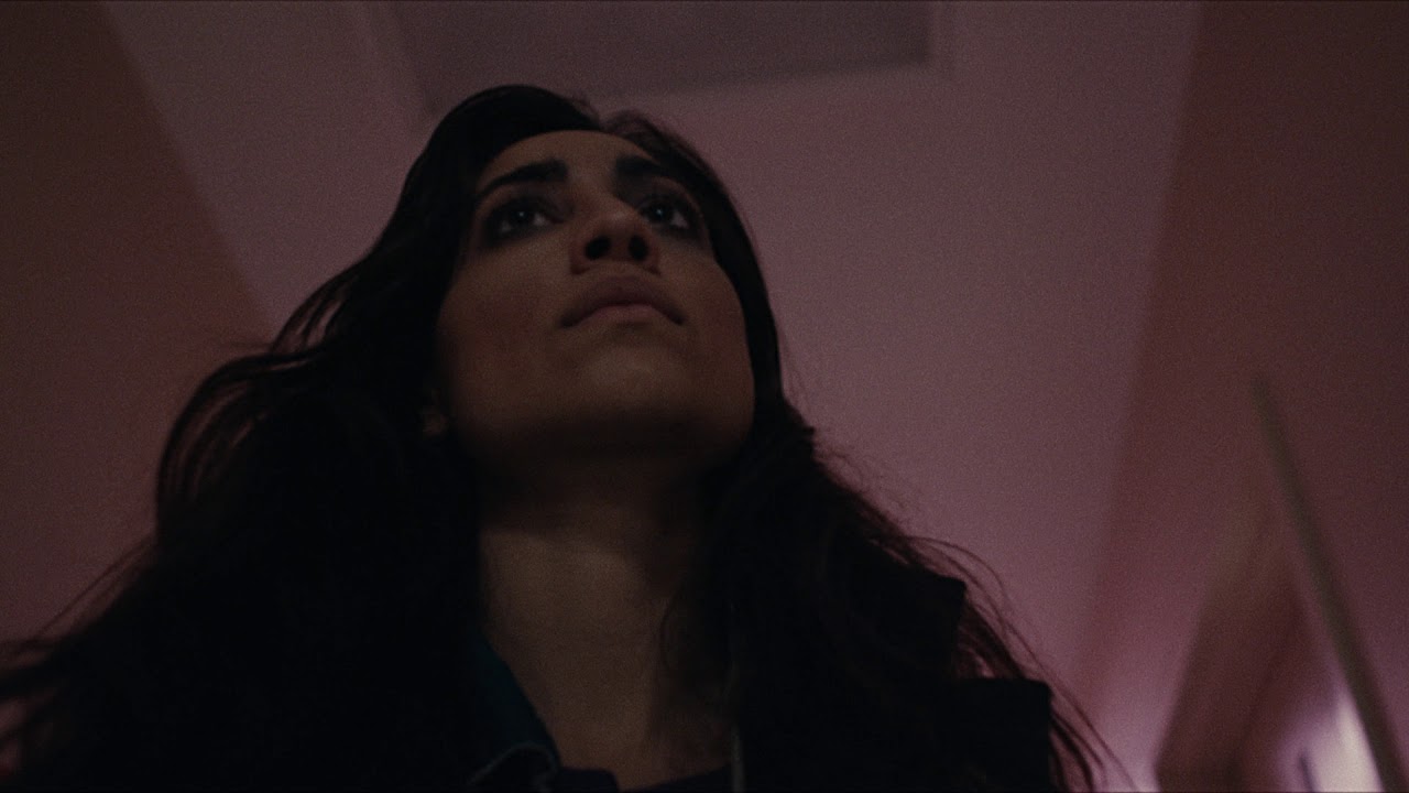 Feral - Trailer - Andrew Wonder