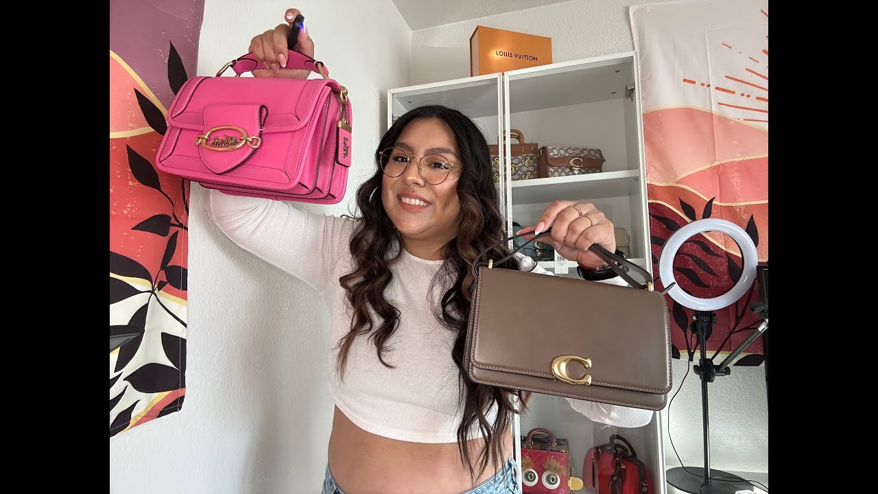 COACH Hero and Bandit Handbag Comparison! | GEORGINA MARCANO