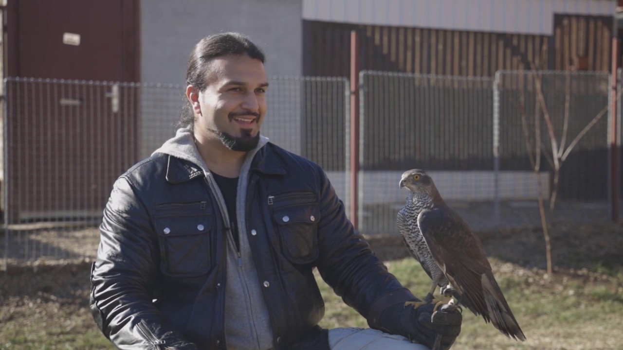 Moj ljubimac ep. 38 - Jastreb - 09.03.2020.