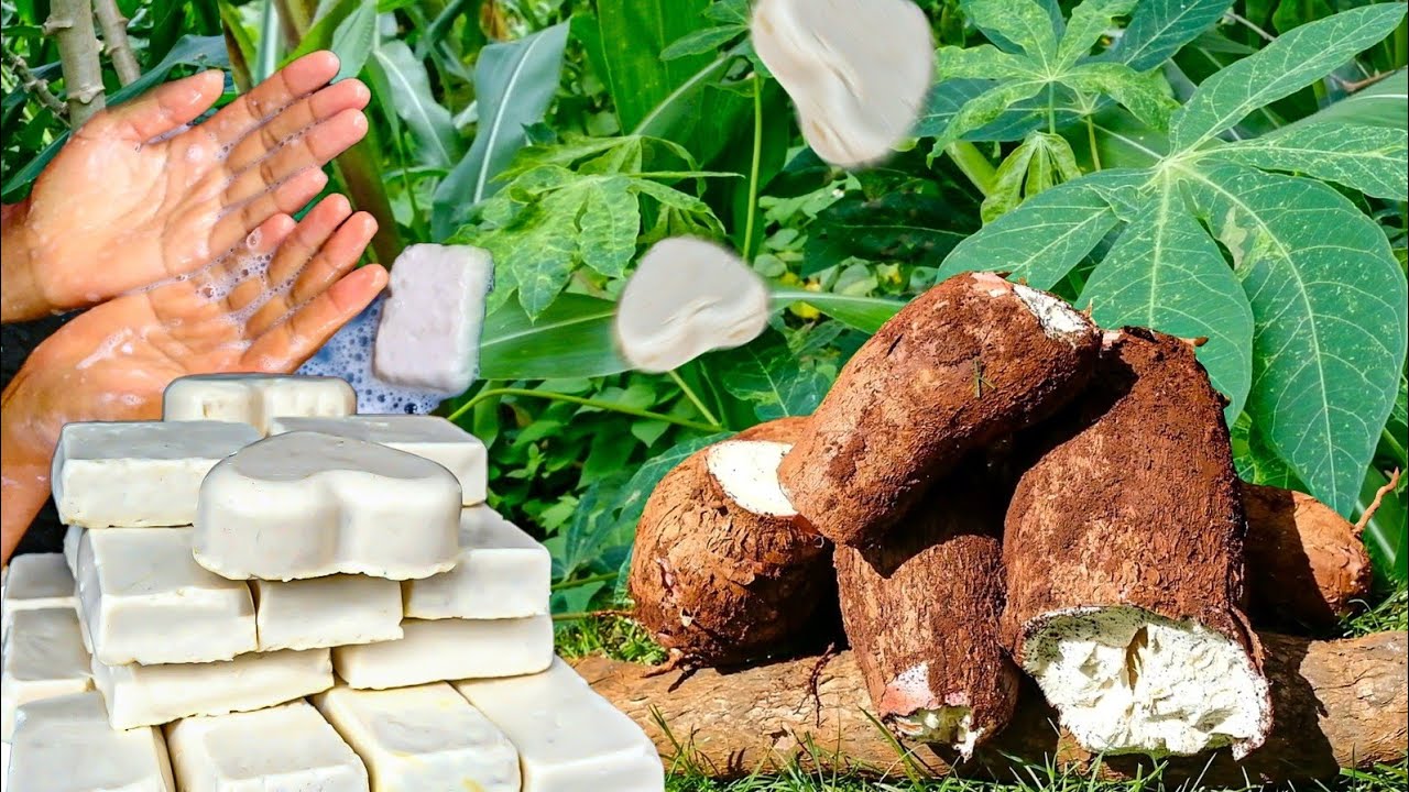 Fabrication du Savon Spirituel au tubercule de Manioc| Purification, Protection, éclat et peau nette