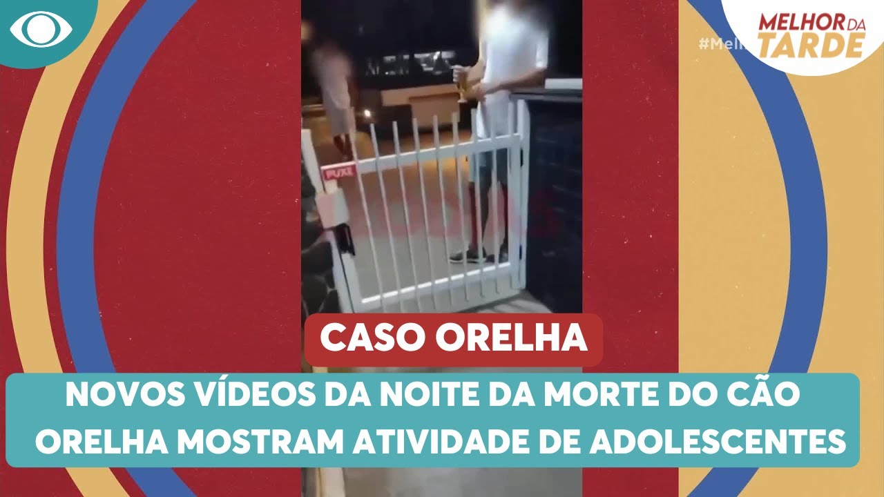 COMPLETO: Novos vídeos da noite da morte do cão Orelha mostram atividade de adolescentes