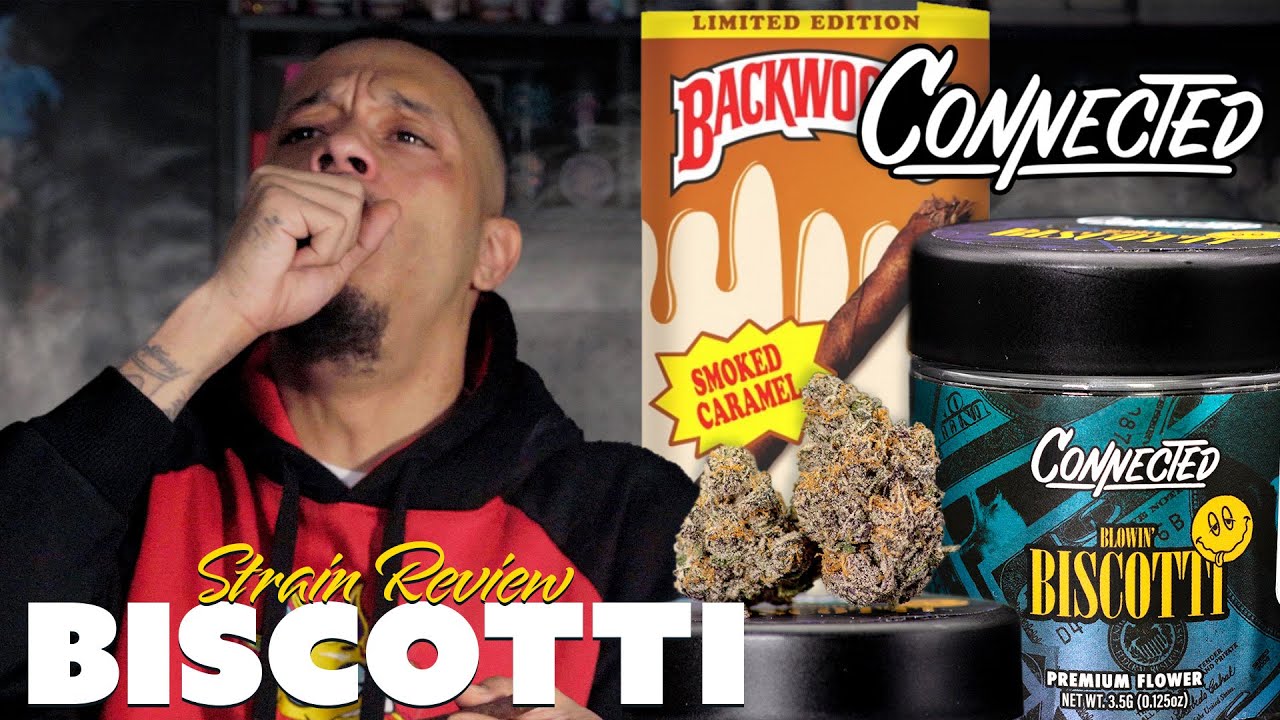 Connected Biscotti Strain Review