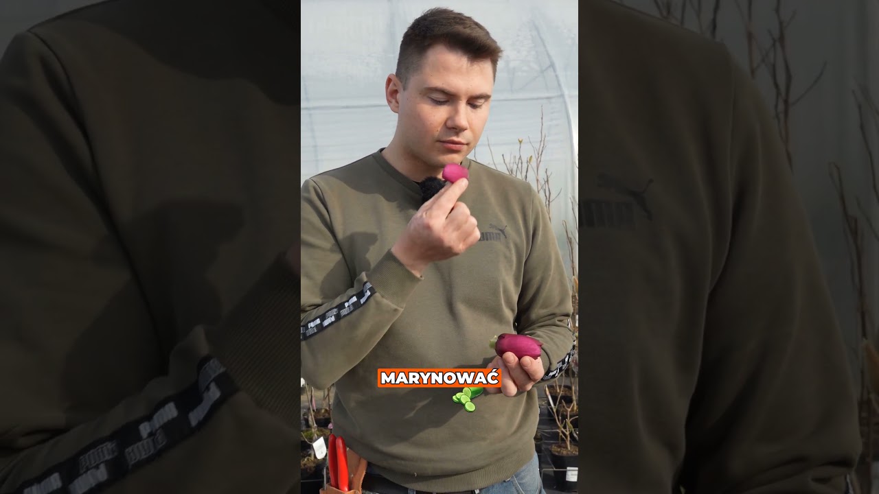 Magnolia do jedzenia? 🌸😲 TAK, ale&hellip;