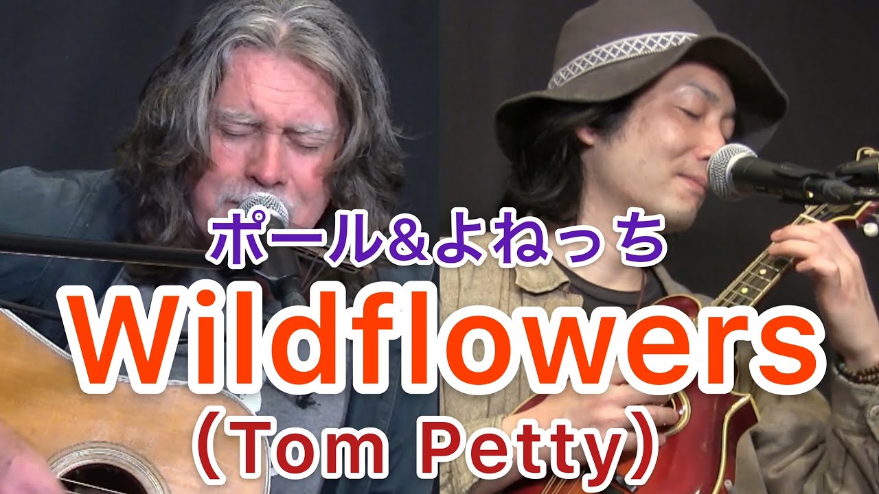 Wildflowers (Tom Petty) ／ ポール＆よねっち