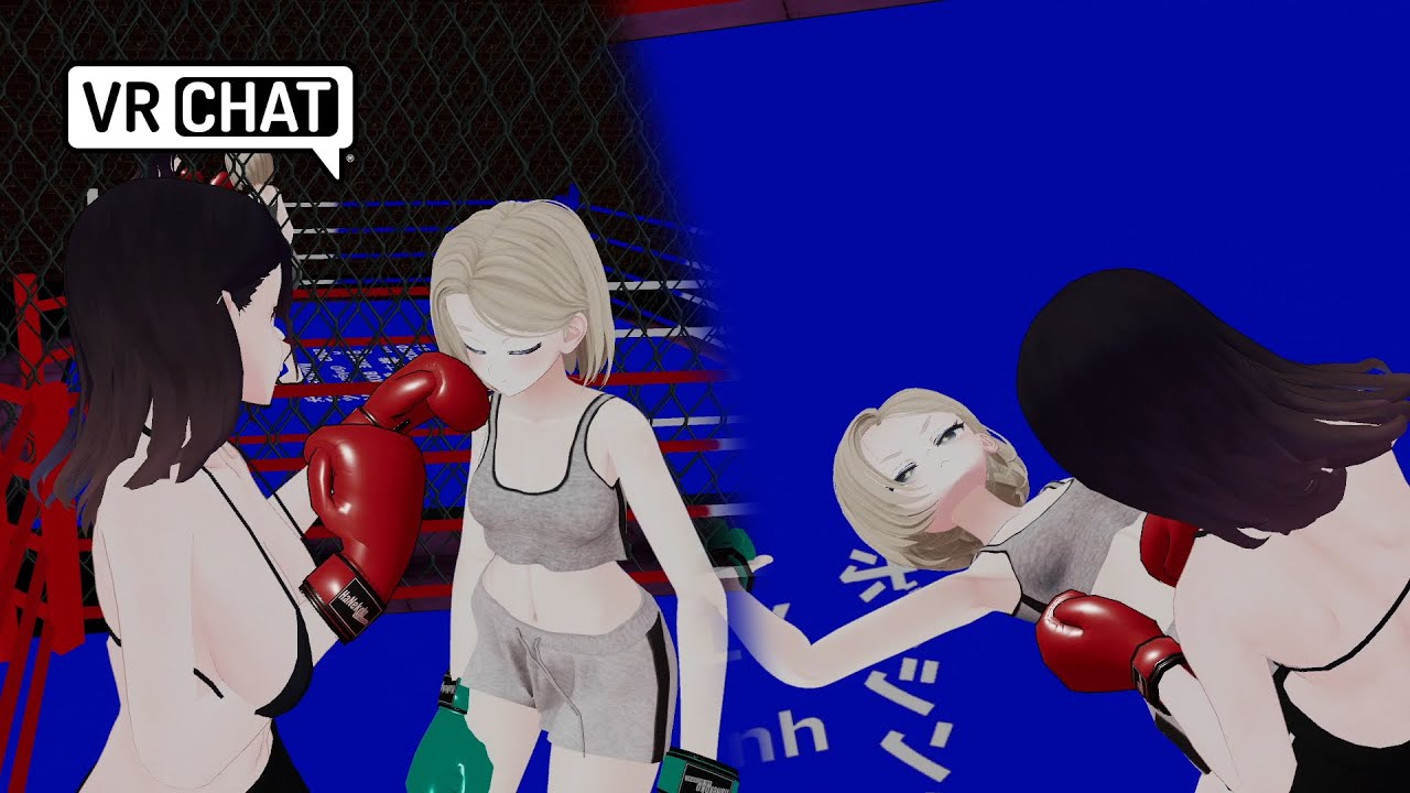 A rough and tumble beat down VRchat BOXING
