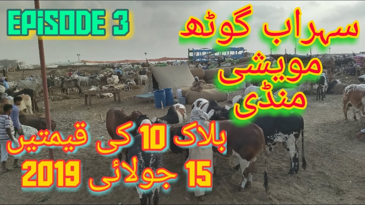 Sohrab Goth Cow Mandi price Update | 15 July 2019 Block 10 | Episode 3
