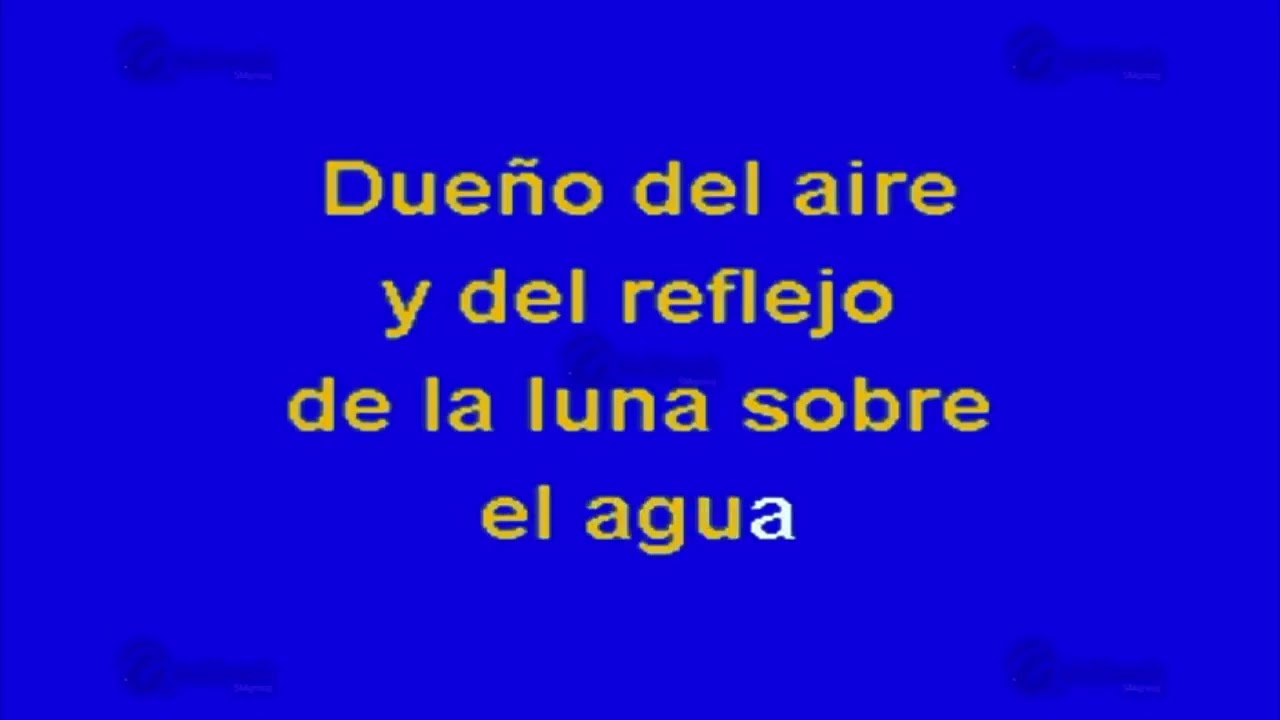 Dueño De Nada   El Puma   Karaoke tono bajo