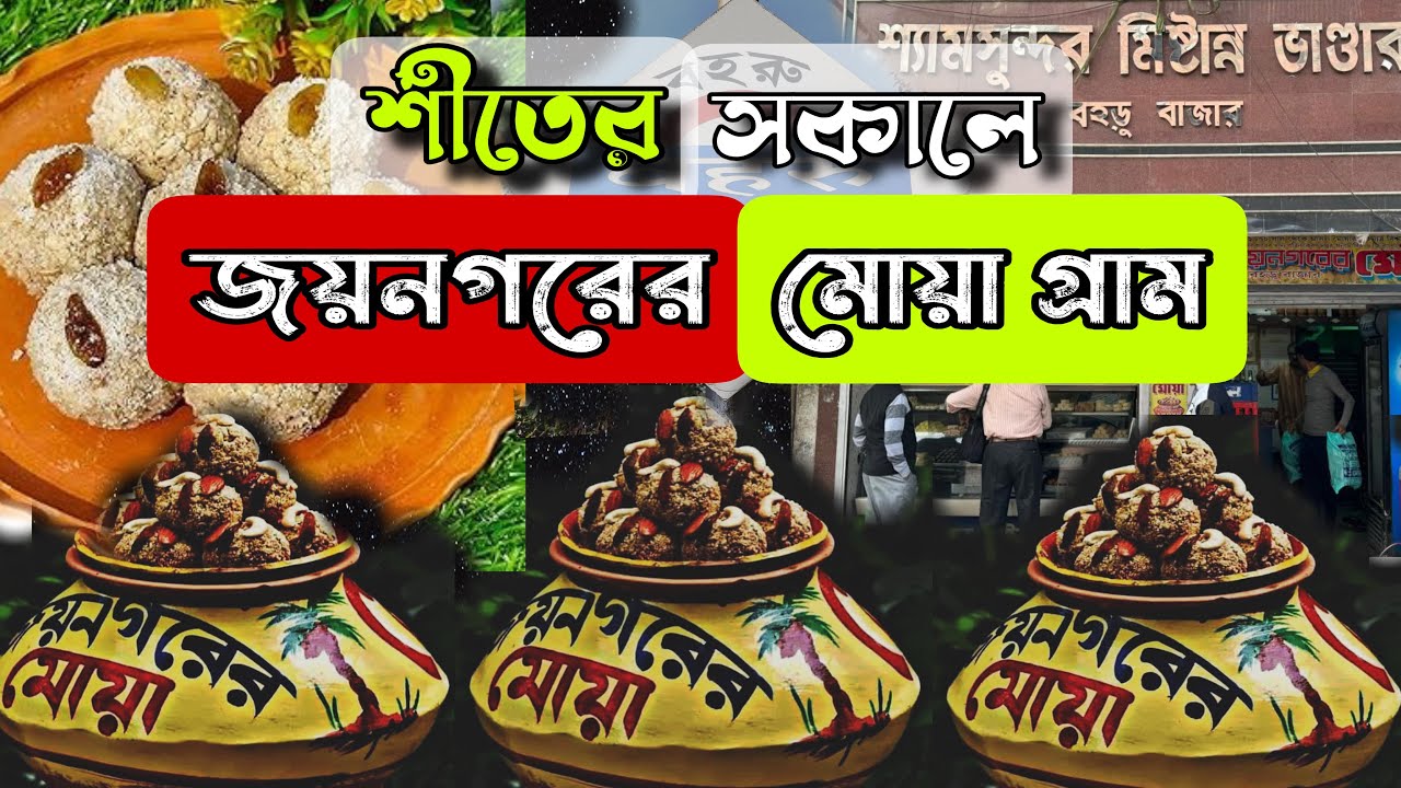 জয়নগরের মোয়া গ্রাম ll Joynagar Moya ll Baharu ll One Day Trip near kolkata 