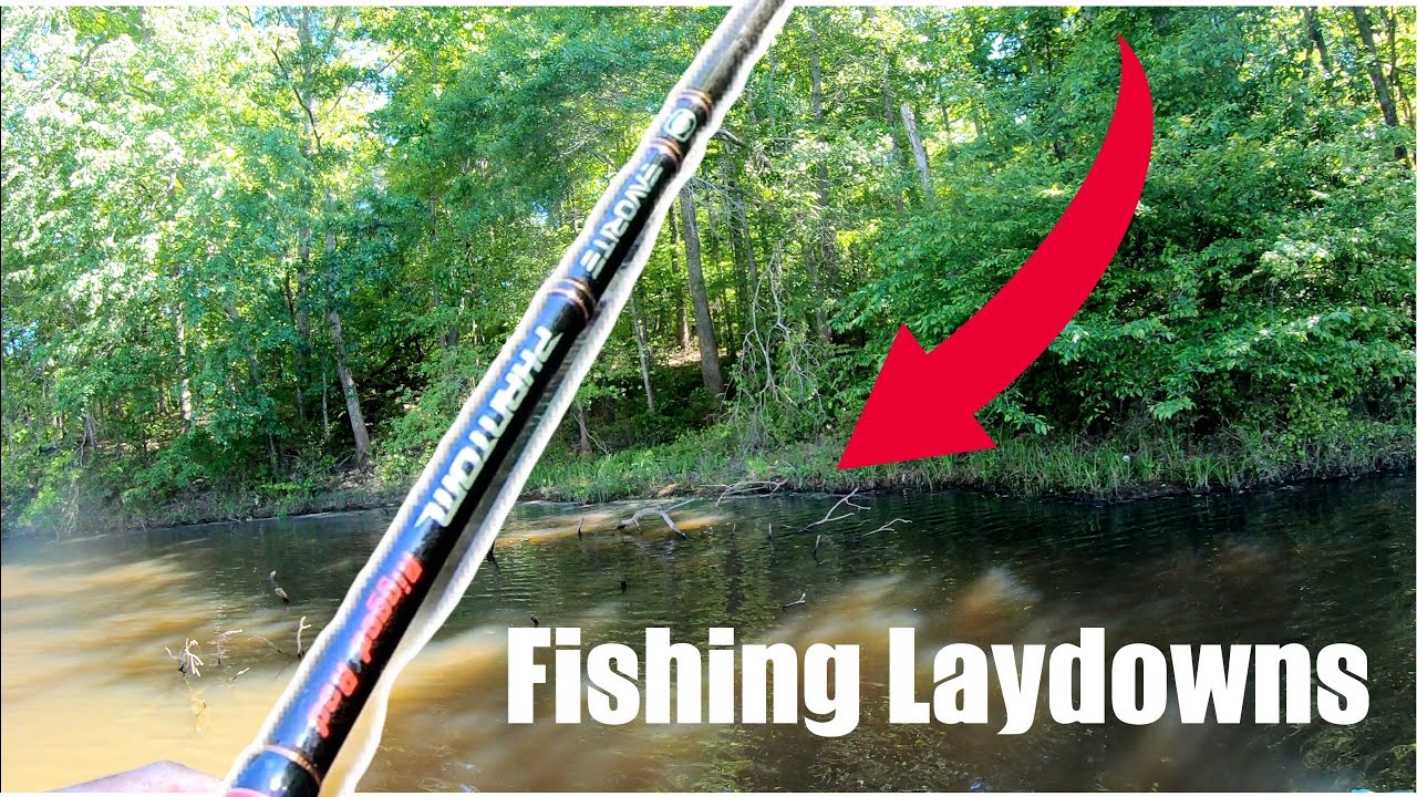 How to Fish Laydowns — ( On Water Instruction)